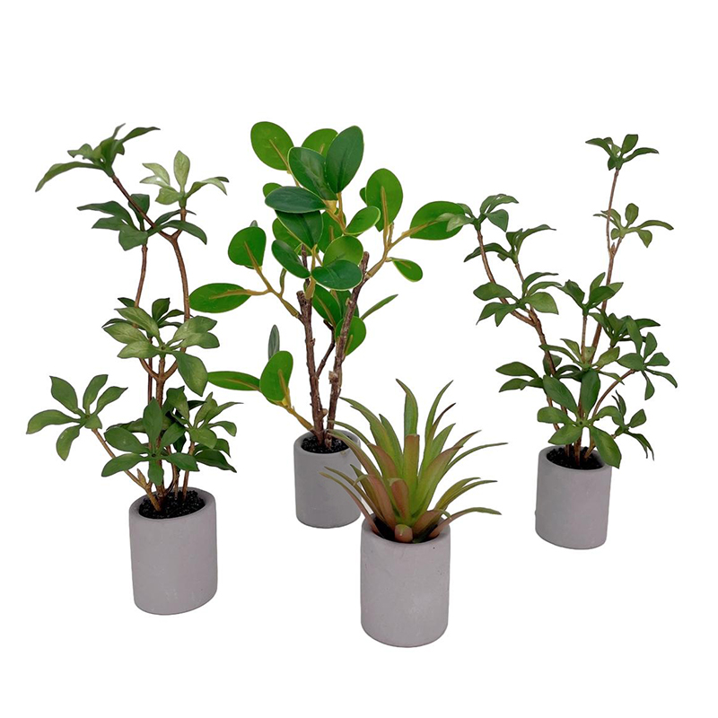 Bonsai Garden Pot - 1:6 domek dla lalek miniaturowa roślina