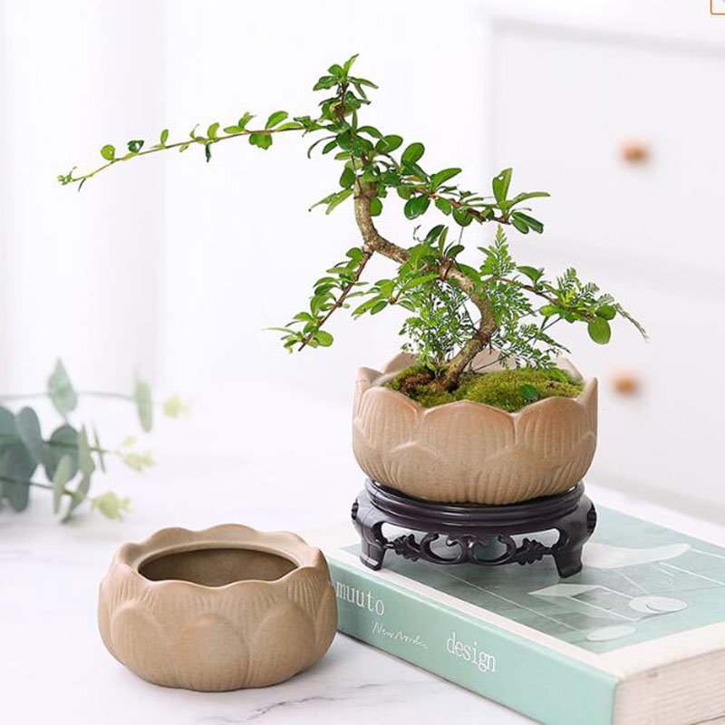 Bonsai Garden Art - Gruba ceramika Lotos Zielona doniczka na