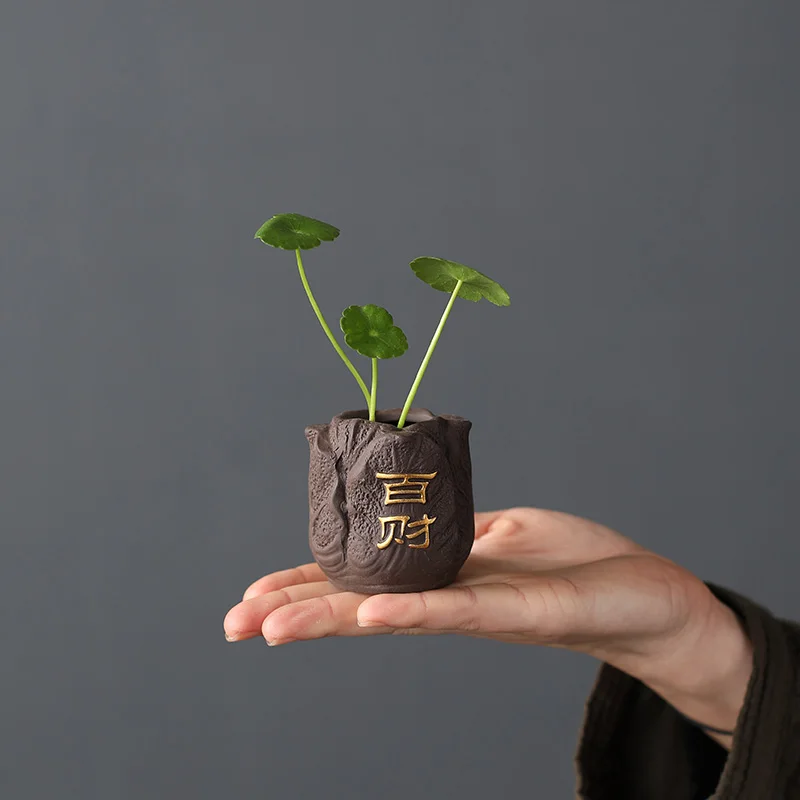 Kreatywna fioletowa gliniana h – Bonsai Garden Pot recenzja i cena