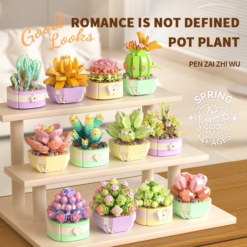 Sukulenty kwiatowe klocki wiec – Bonsai Garden Pot recenzja i cena
