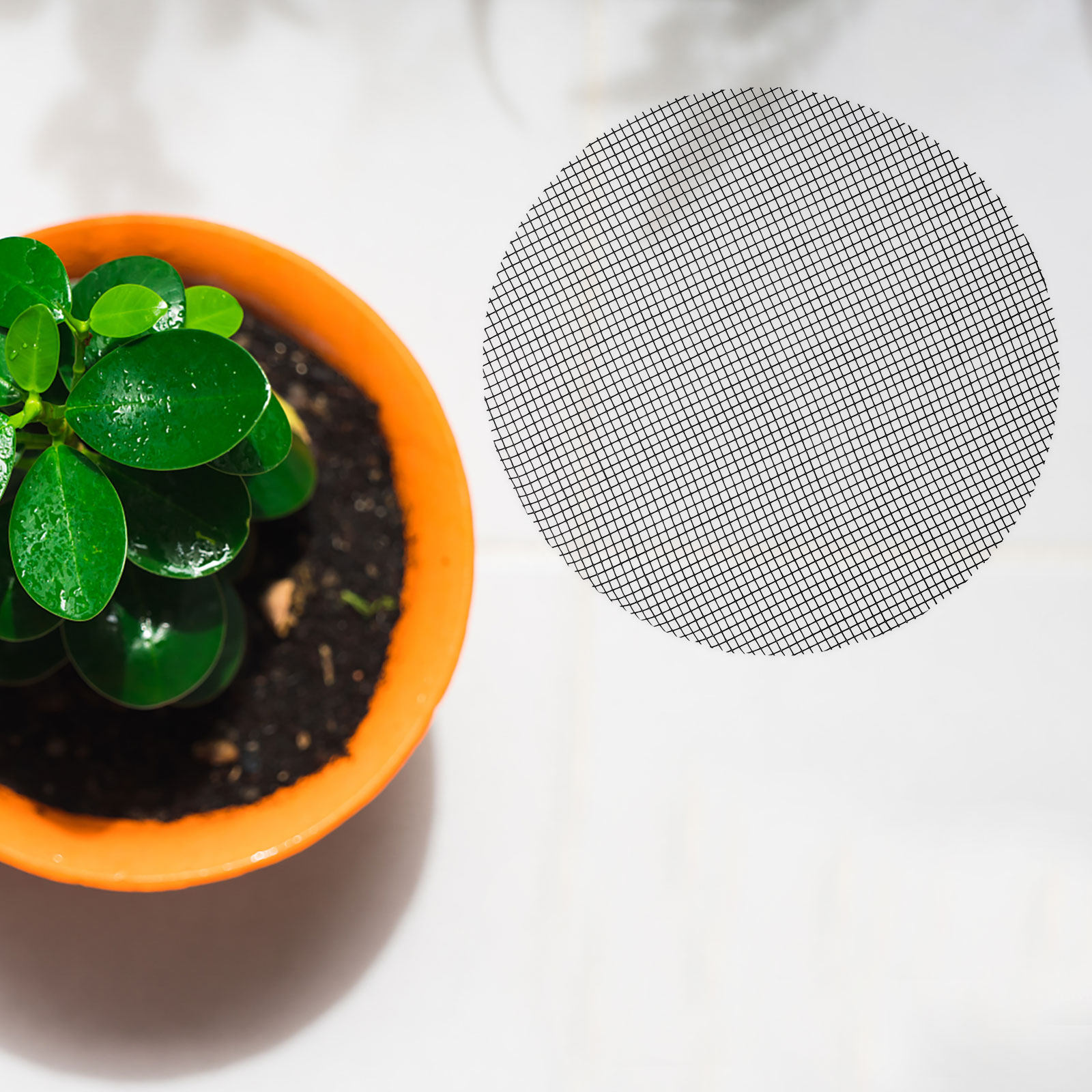 50 szt. okrągłych siatek drena – Bonsai Garden Pot recenzja i cena