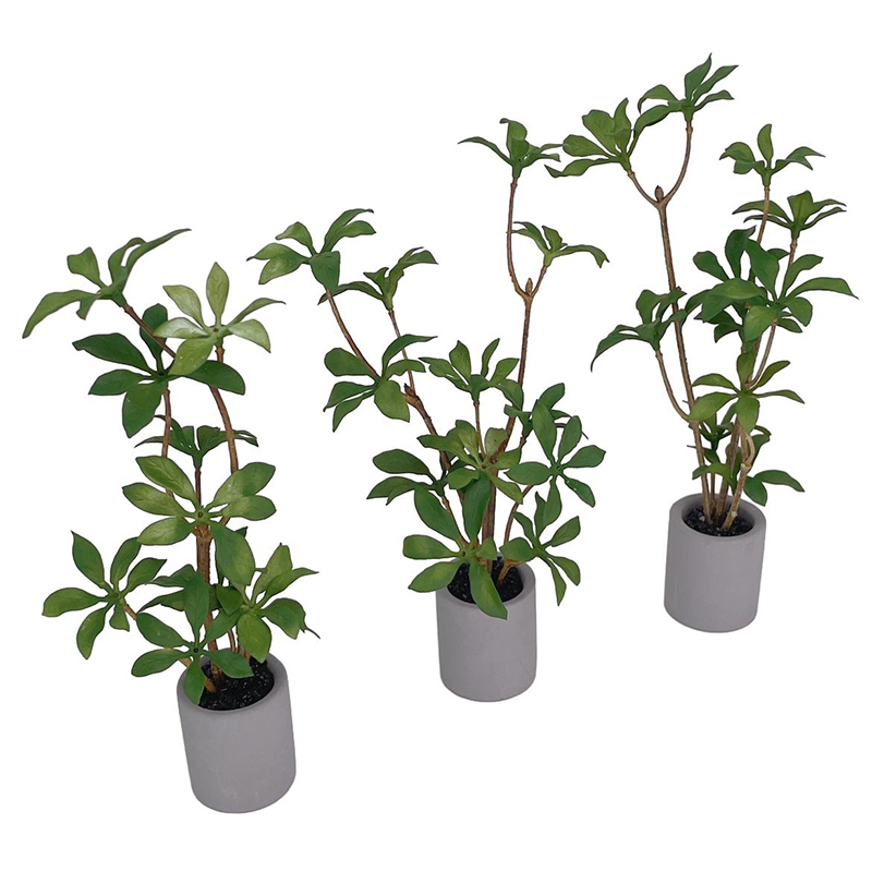 1:6 domek dla lalek miniaturow – Bonsai Garden Pot recenzja i cena