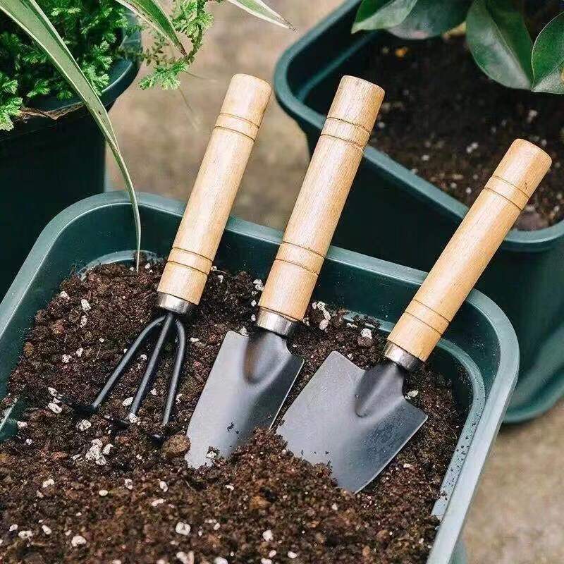 3 szt./1 zestaw Mini narzędzia – Soil Scoop Tool recenzja i cena
