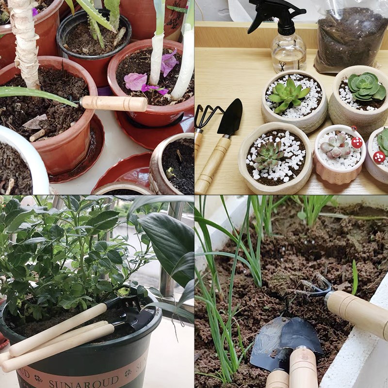3 szt./1 zestaw Mini narzędzia – Soil Scoop Tool recenzja i cena