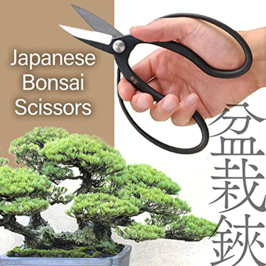 Japońskie nożyce do bonsai Sui – Japan Bonsai Garden recenzja i cena