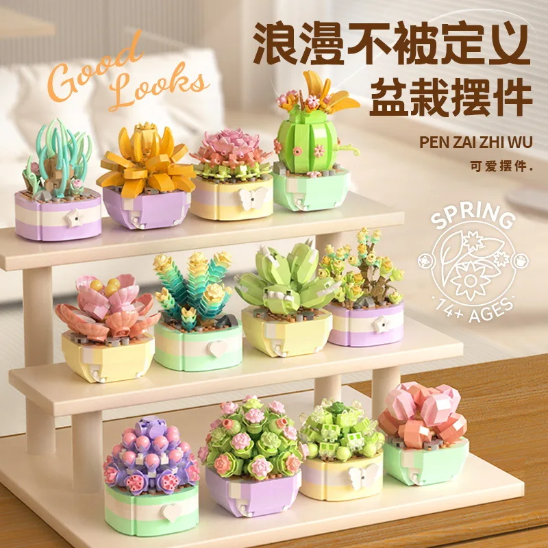 Kwiaty sukulenty klocki kaktus – Bonsai Garden Pot recenzja i cena