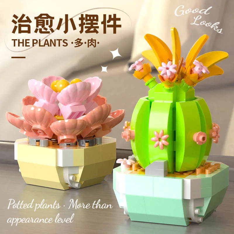 Kwiaty sukulenty klocki kaktus – Bonsai Garden Pot recenzja i cena
