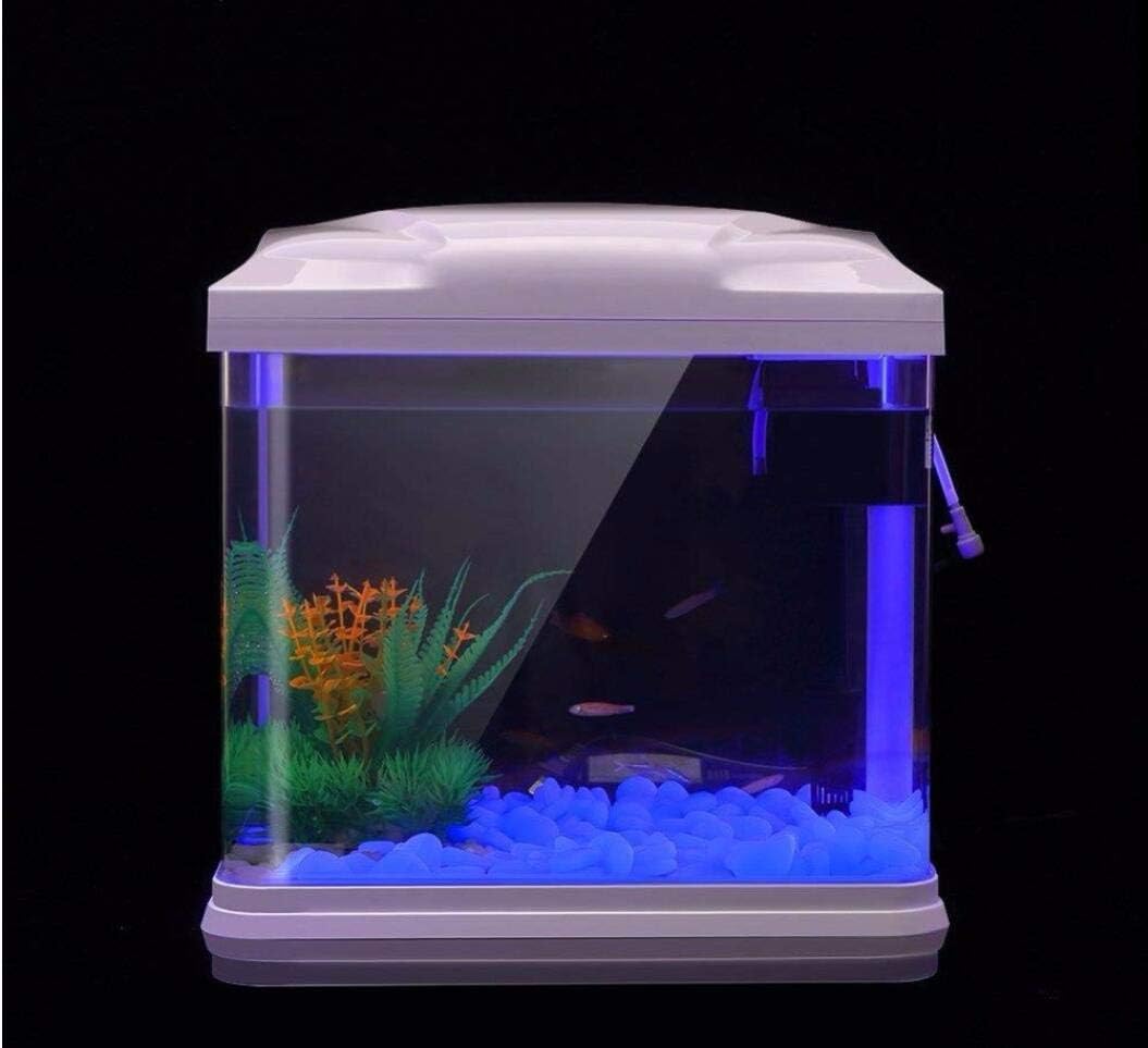 Fish Tank Rocks Glow Blue Pebb – Bonsai Garden Pot recenzja i cena