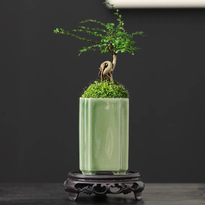 Porcelanowa kwadratowa doniczk – Bonsai Garden Art recenzja i cena