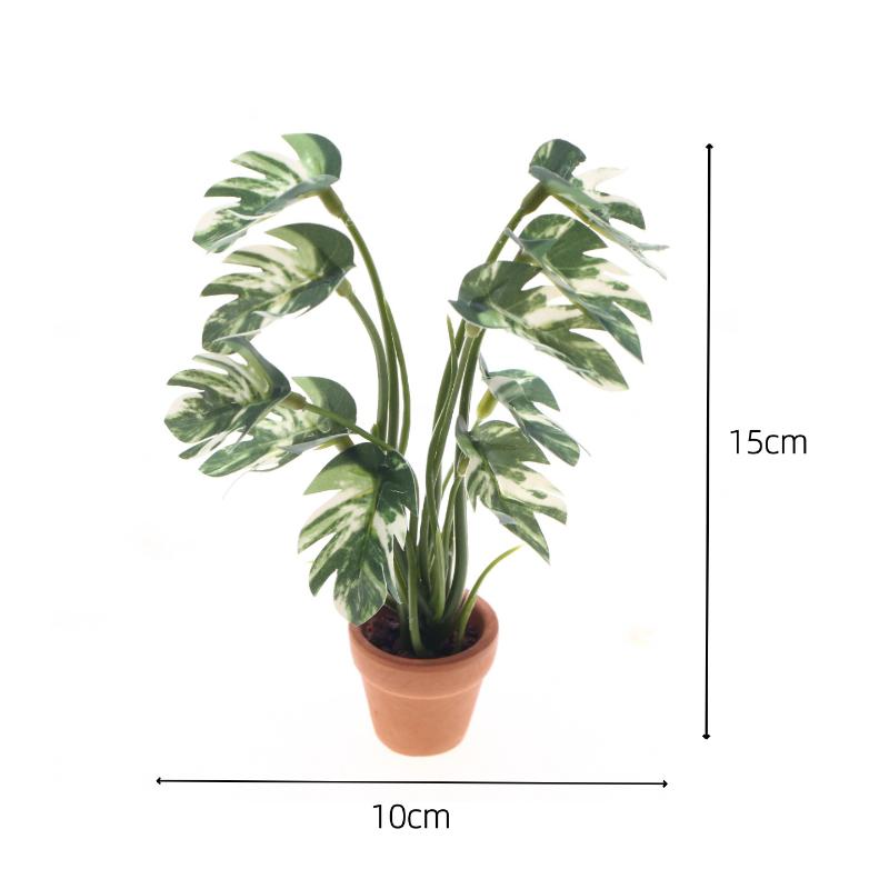 Nowy. 1 szt. 1/12 Symulacja ro – Bonsai Garden Pot recenzja i cena