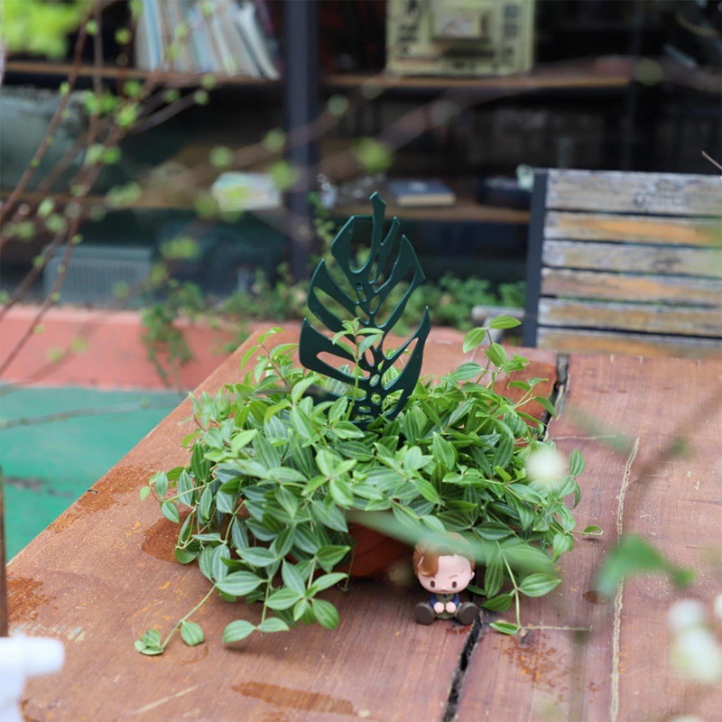 Stojak na rośliny wspinaczkowe – Bonsai Garden Pot recenzja i cena